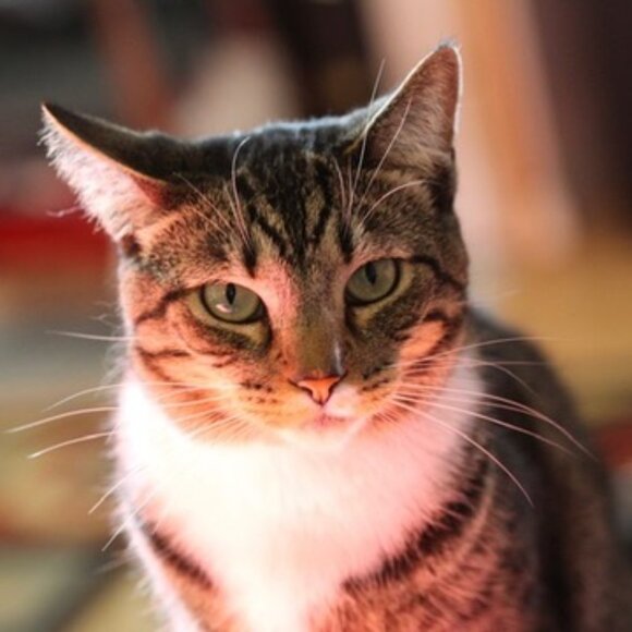 Meet your Posher, Jay - Picture 9 of 9